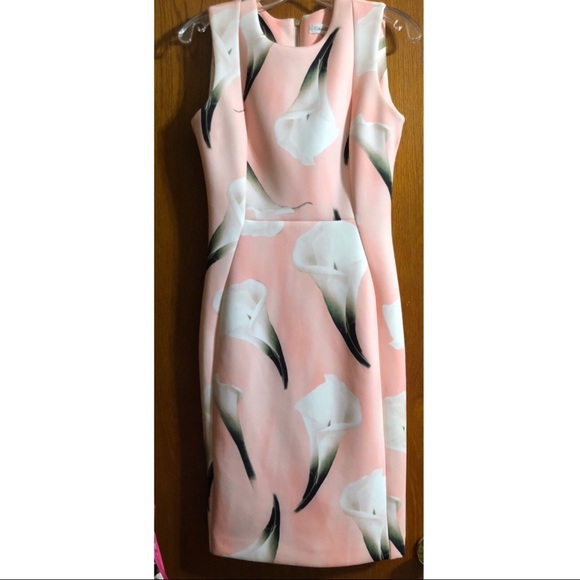 Calvin Klein Dresses & Skirts - Calvin Klein Lilly print  dress back zip size 4
